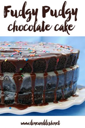 Fudgy Pudgy Chocolate Cake from dineanddish.net