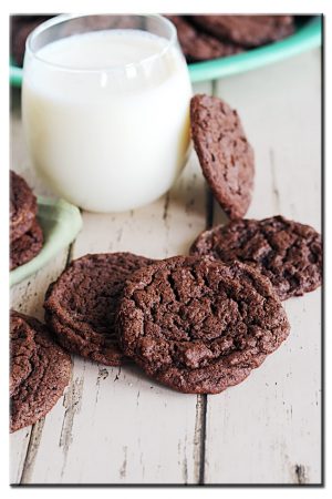 Extra Special Chewy Chocolate Cookies so delicious!