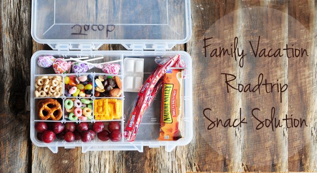 DIY Travel Snack Box for Kids - Sunshine and Holly