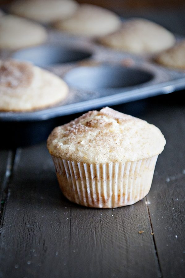 Plain as Vanilla {Recipe: Vanilla Vanilla Muffins} - Dine and Dish