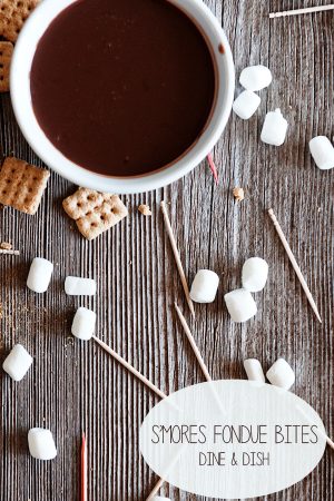 S'mores Chocolate Fondue Bites Without a Fondue Pot