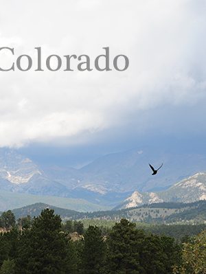 Estes, Colorado Vacation Travel Recap dineanddish.net