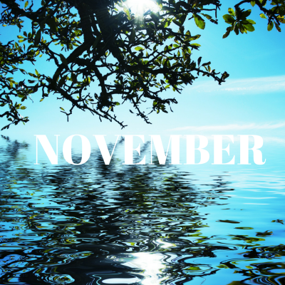 NOVEMBER