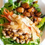 Houlihan's Copycat Asian Chop Chop Chicken Salad Recipe on dineanddish.net