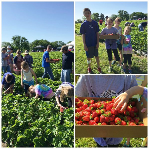 Wohletz Berry Farm