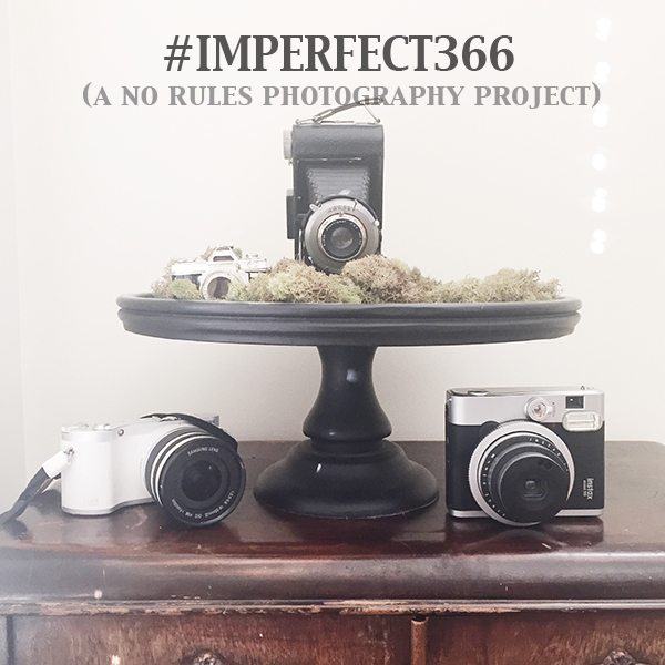 Imperfect 366 a no rules photography project