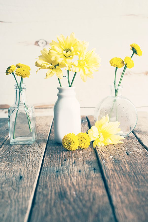 Yellow Flowers