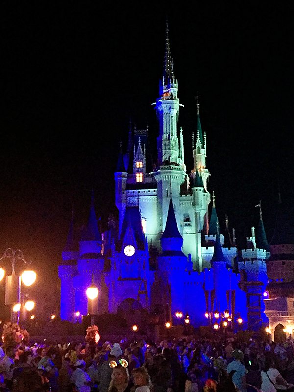 Magic Kingdom Castle at Night