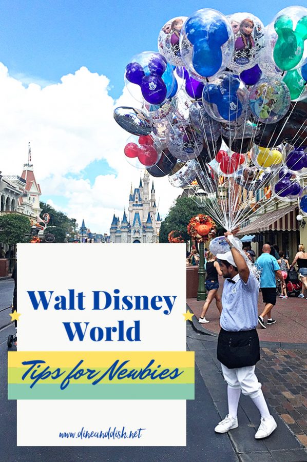 Disney Vacation Tips for Newbies on dineanddish.net