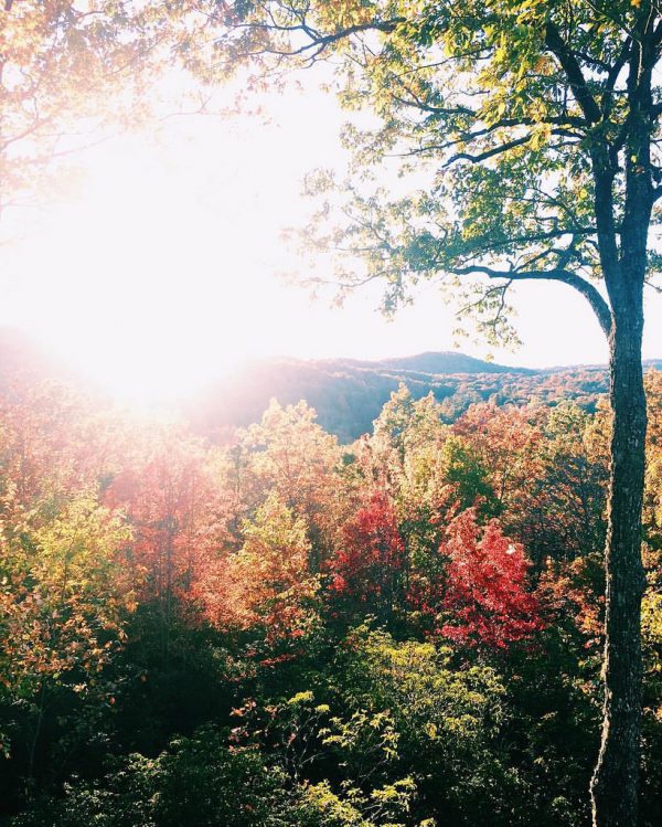 Fall Leaves in North Carolina Blue Ridge Mountains