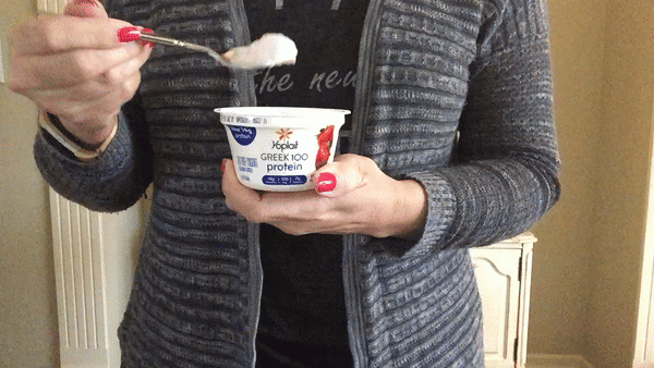 Yoplait Greek 100 Protein