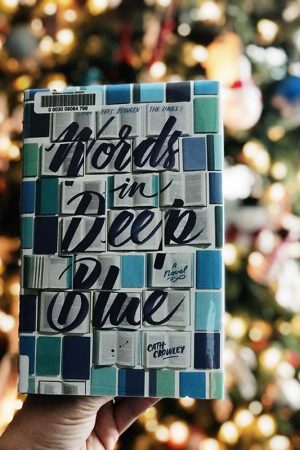 Words in Deep Blue by Cath Crowley book review. This ended up being one of my favorite books of 2017!