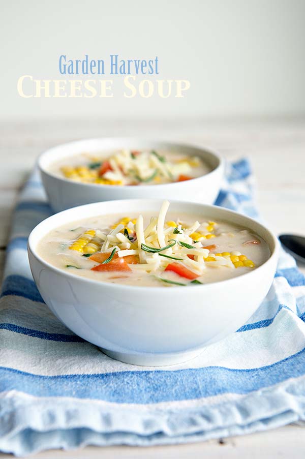 Garden Harvest Cheese Soup Recipe from dineanddish.net