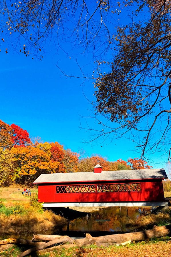 Happy Things - a red covered bridge surrounded by trees with fall colored leaves.