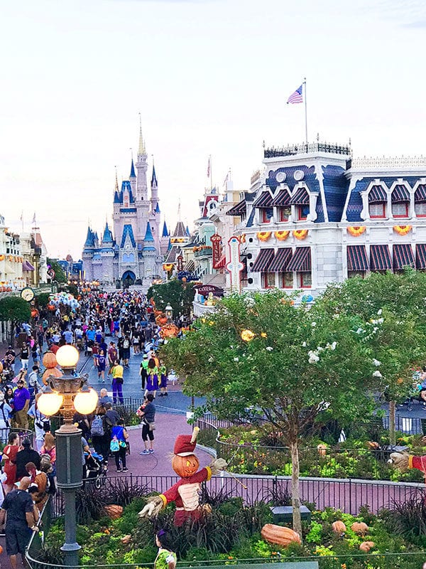 Magic Kingdom Castle in the fall