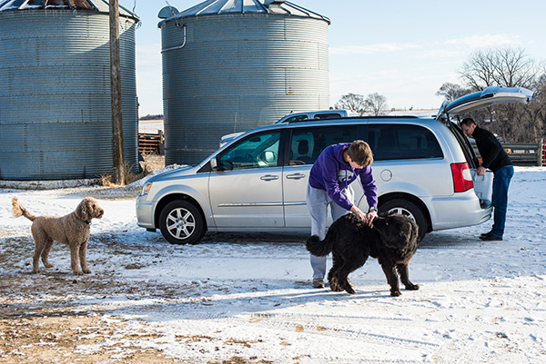 2 dogs, van and van being loaded in Iowa