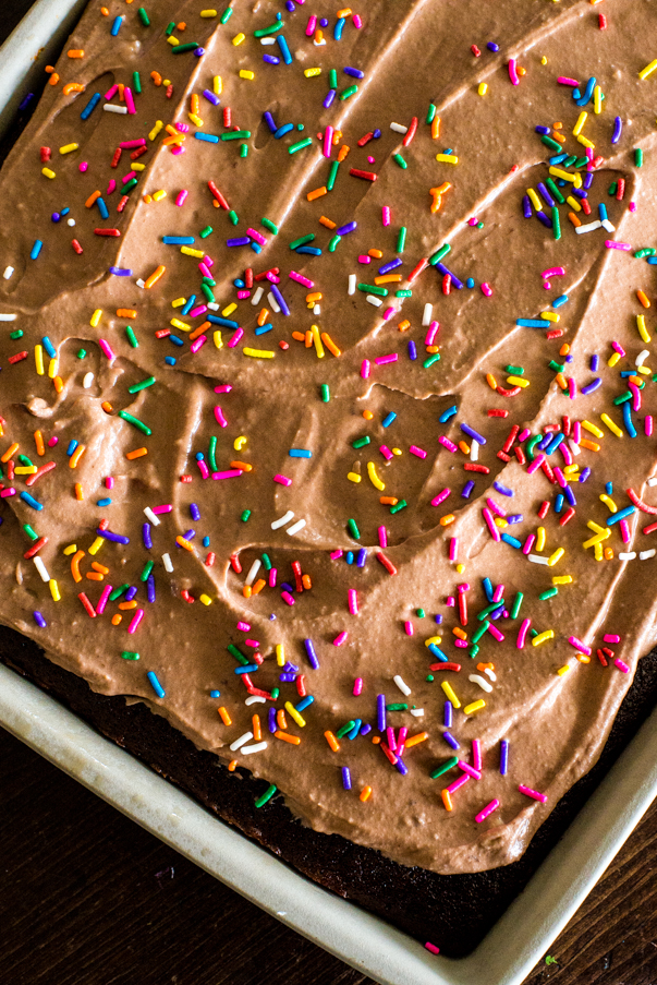 a chocolate sheet cake with sprinkles