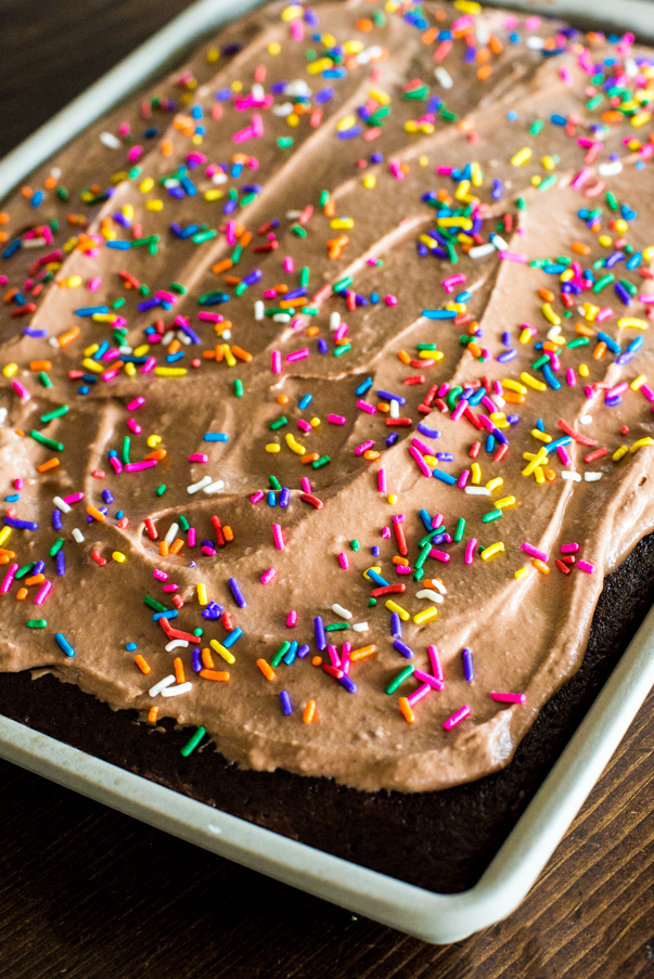 frosted chocolate sheet cake with sprinkles
