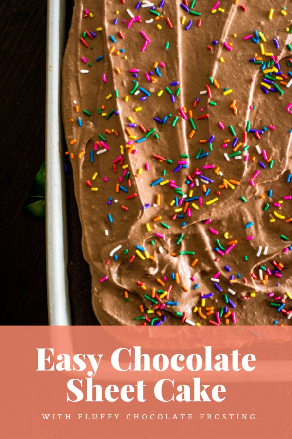 chocolate sheet cake with sprinkles